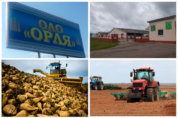 Орля